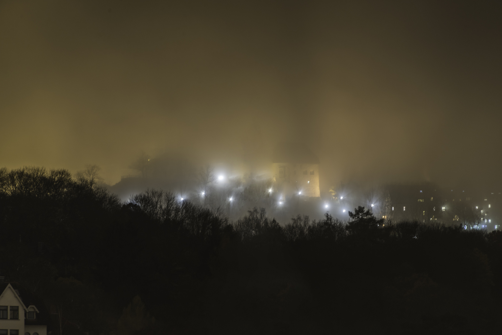 Wartburg im Nebel