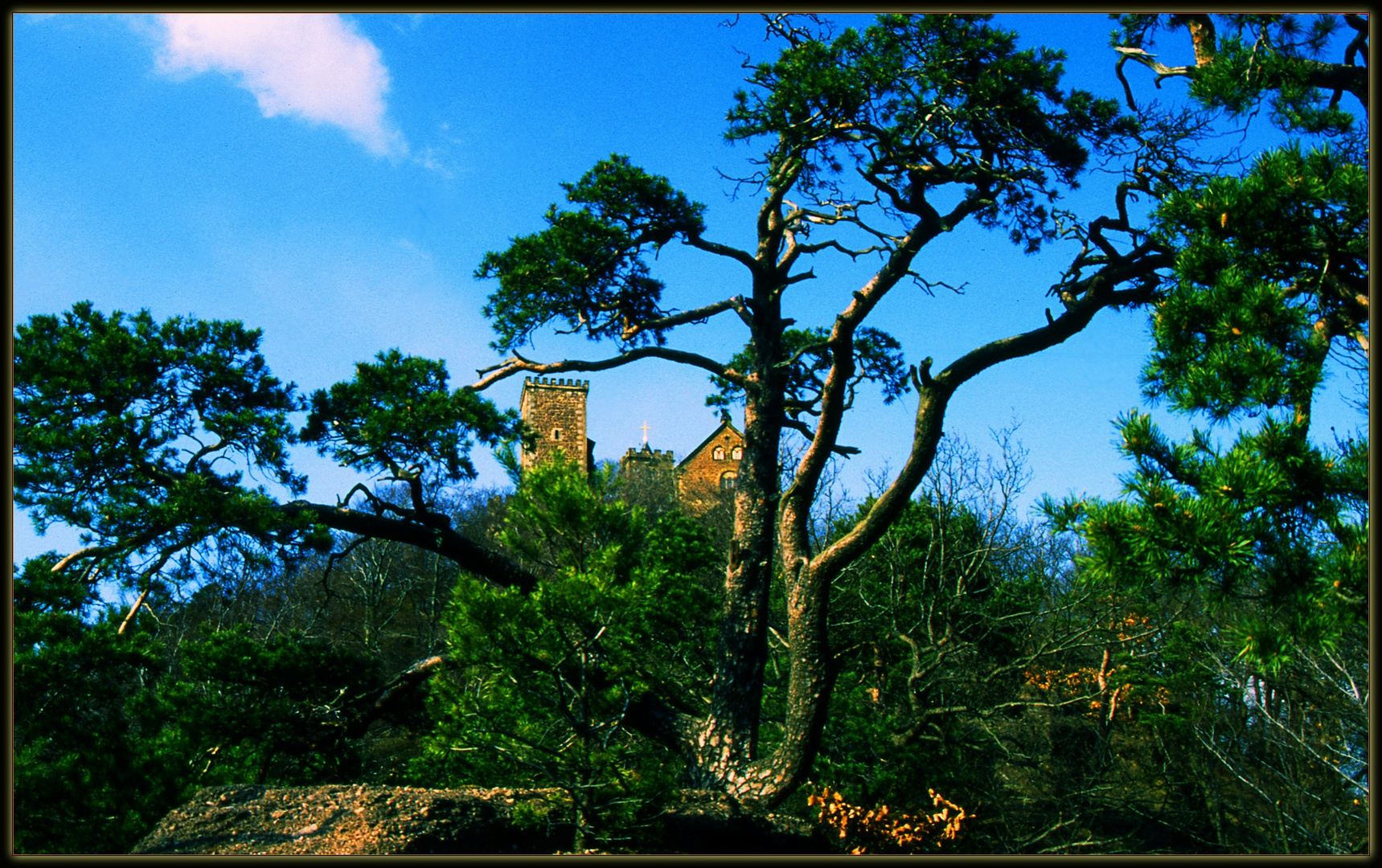 Wartburg   ((vor der "Restaurierung" (sprich: vor der geistlosen Misshandlung))