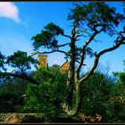 Wartburg   ((vor der "Restaurierung" (sprich: vor der geistlosen Misshandlung))