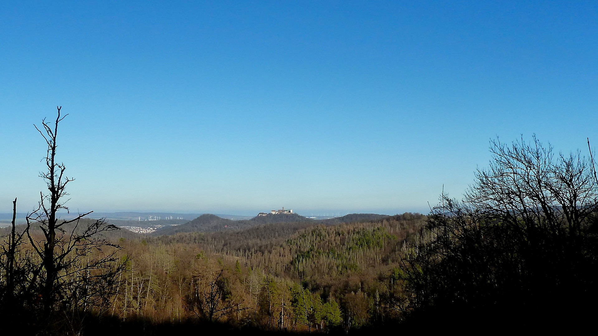 Wartburgblick