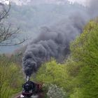 Wartburgblick im Frühling