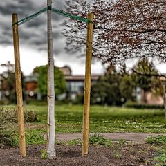 "Warte mal bis ich groß und stark bin, . . . "