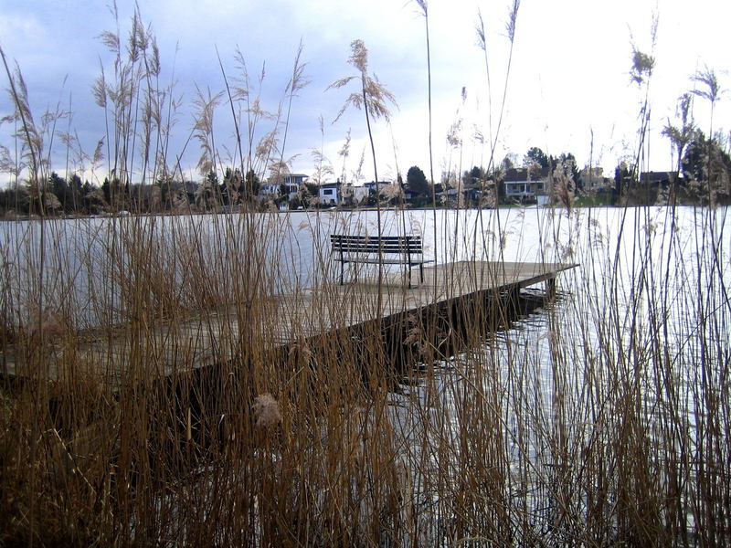 Warte, warte noch ein Weilchen... Foto & Bild landschaft, bach, fluss