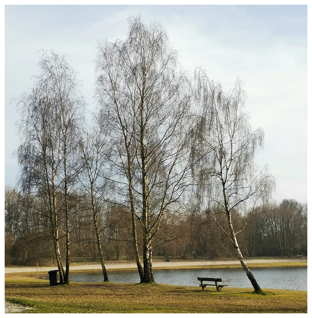 Wartebank für die Februarsonne