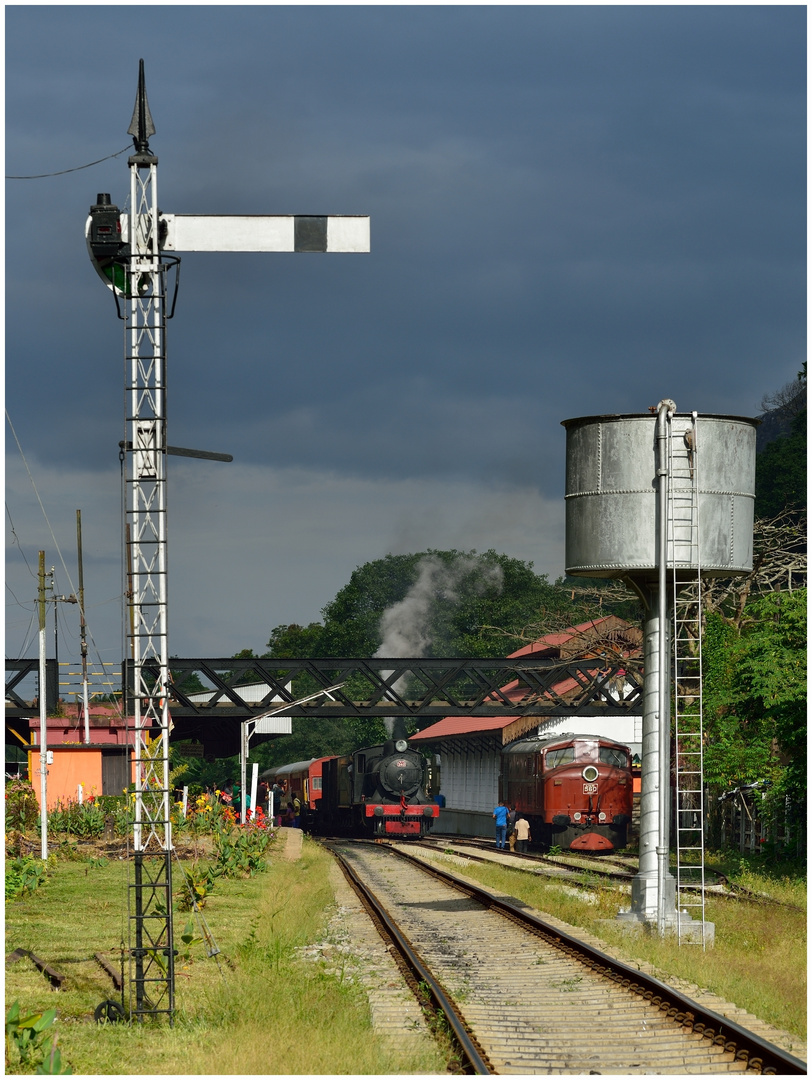 Warten auf Ausfahrt  -  Kadugannawa