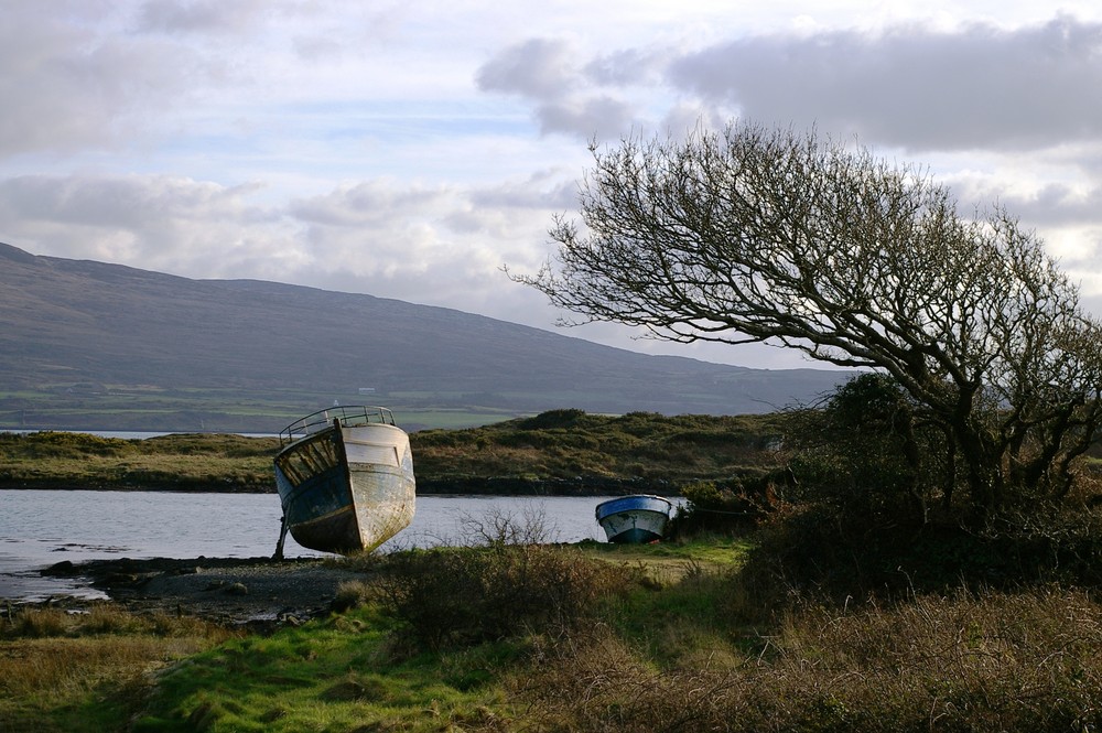 Warten auf bessere Zeiten?, Beara Ring, Irland