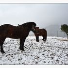 Warten auf besseres Wetter