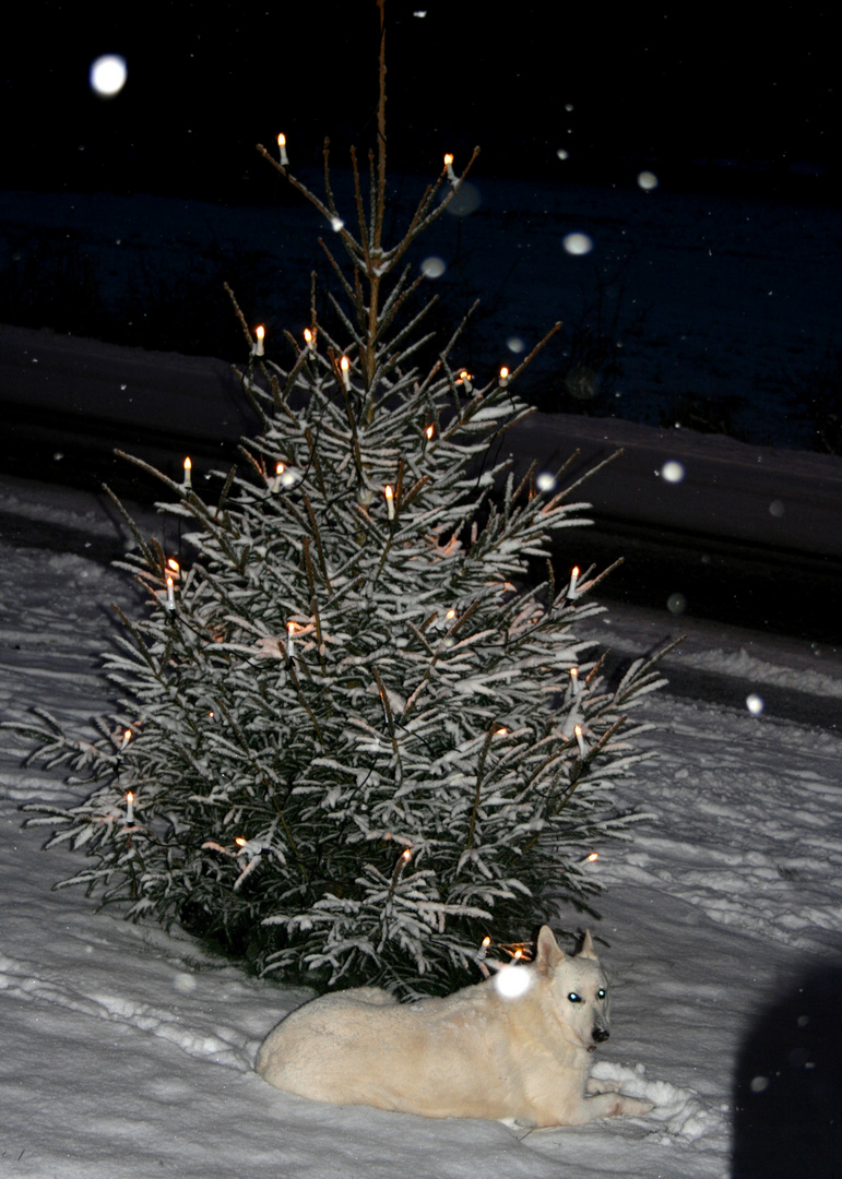 Warten auf das Christkind