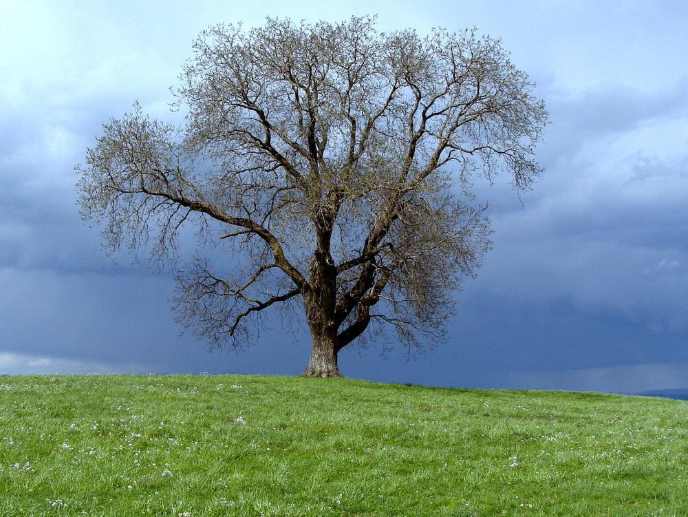 Warten auf das erste Gewitter.