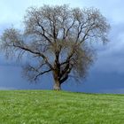 Warten auf das erste Gewitter.