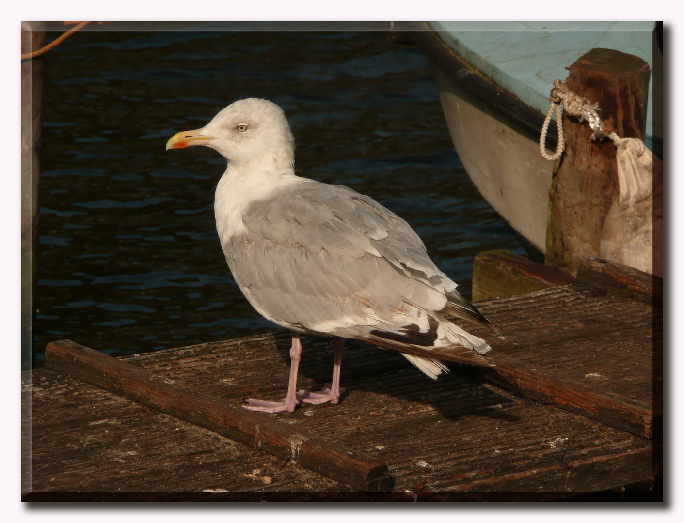 Warten auf das nächste Boot