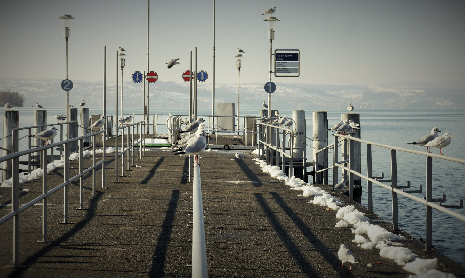 Warten auf das Schiff von Zürich