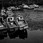 Warten auf das Wasser in Crail