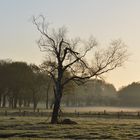 Warten auf dem Sommer