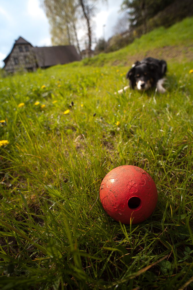 Warten auf den Ball