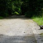 Warten auf den Bus