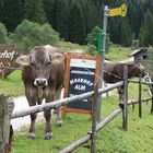 warten auf den bus...