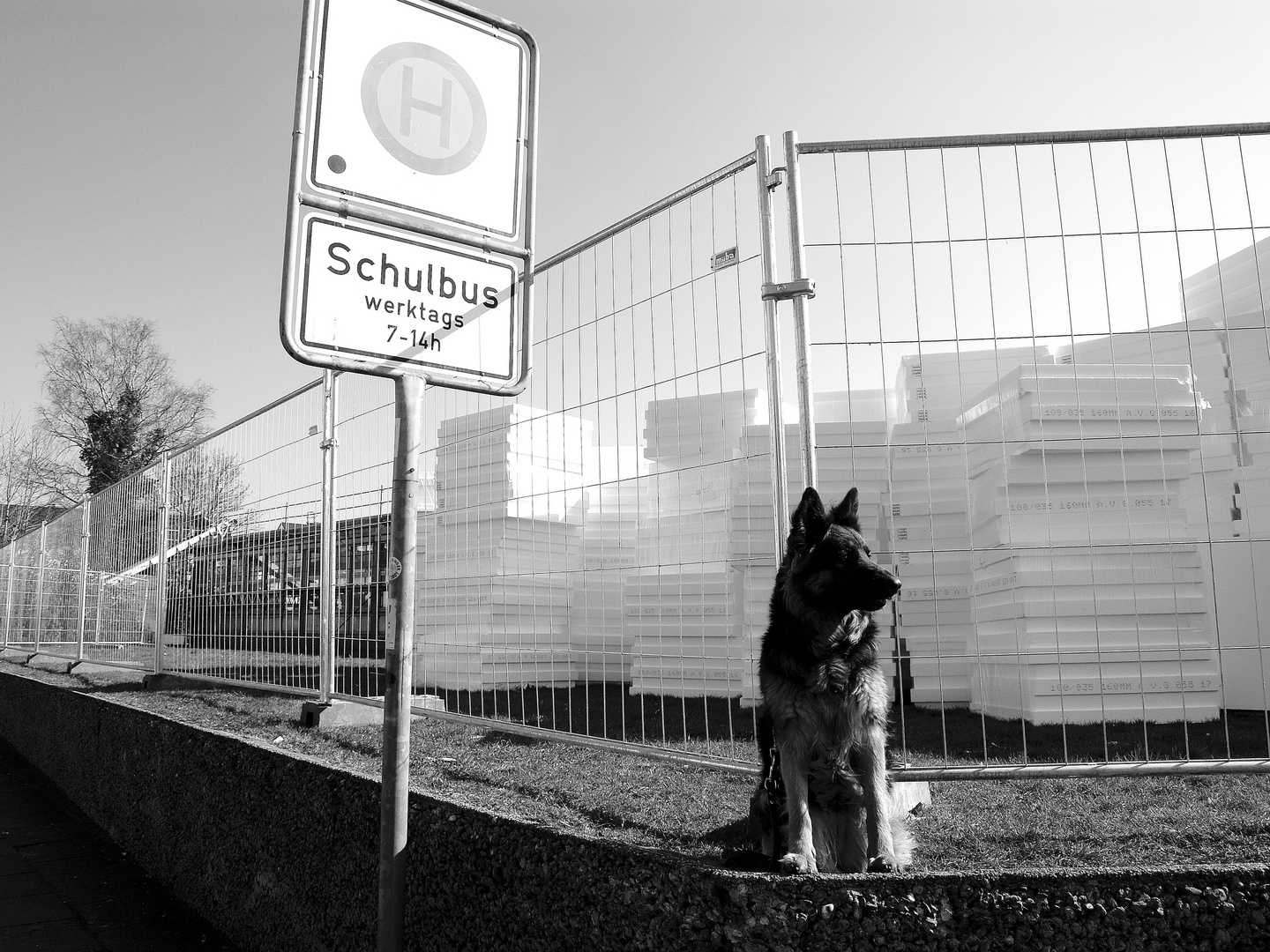 Warten auf den Bus!