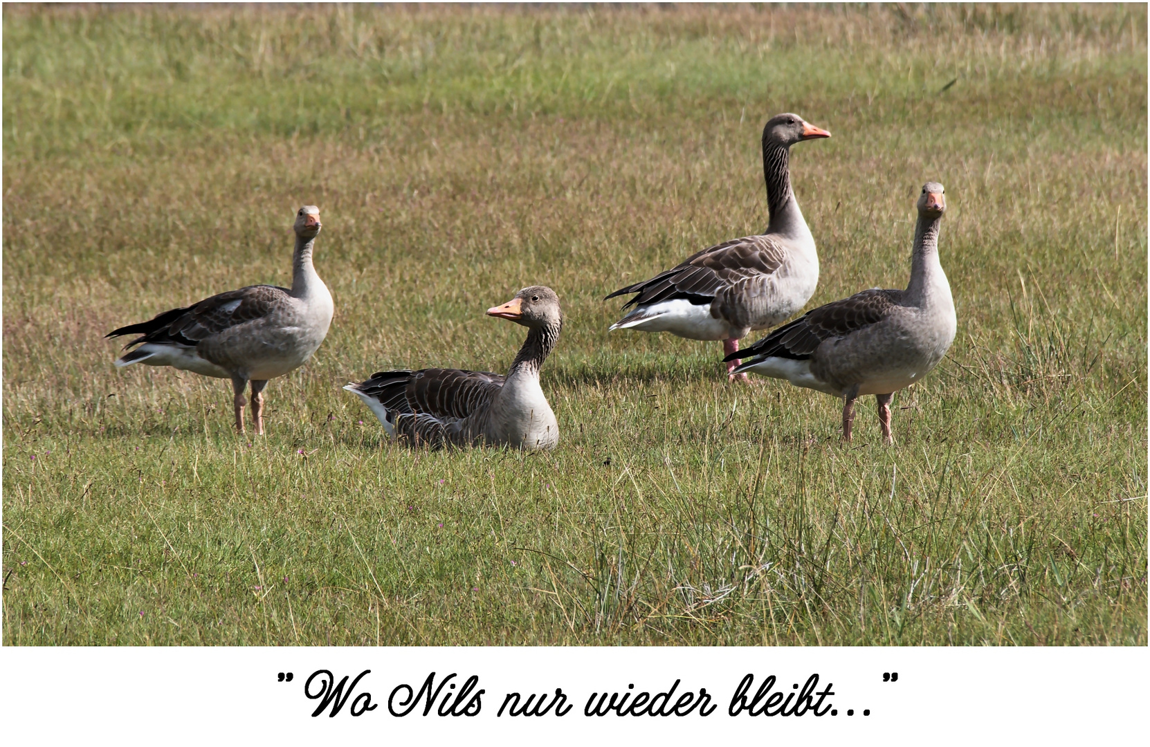 Warten auf den Däumling