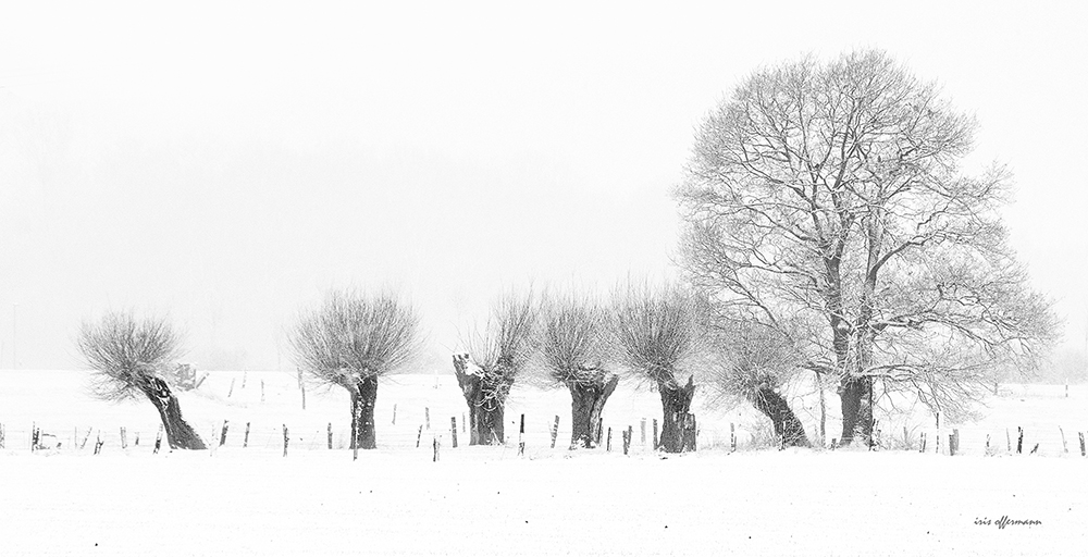 Warten auf den ersten Schnee