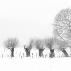 Warten auf den ersten Schnee