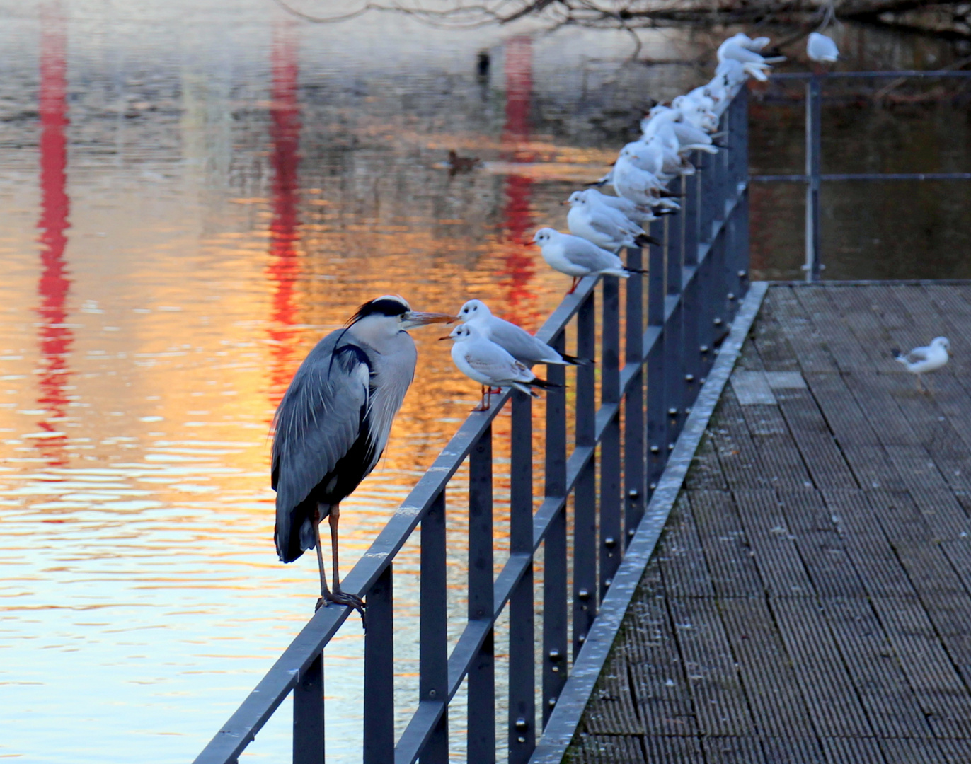 Warten auf den Fisch