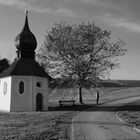 Warten auf den Fotografen