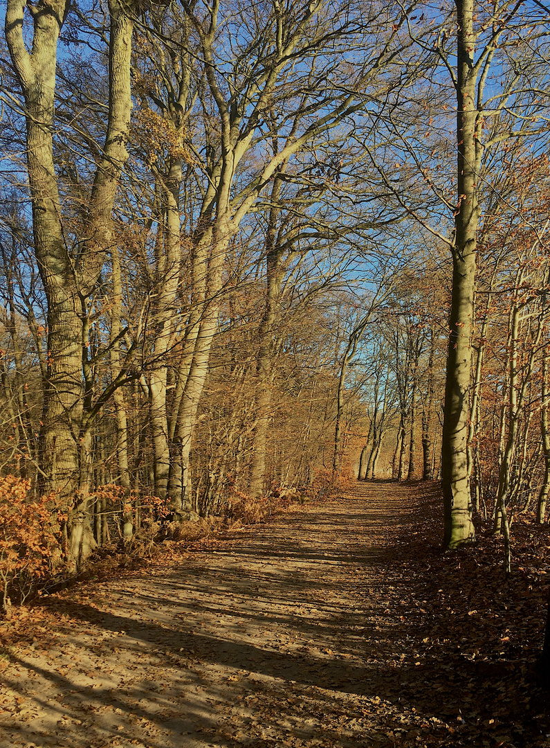 Warten auf den Frühling