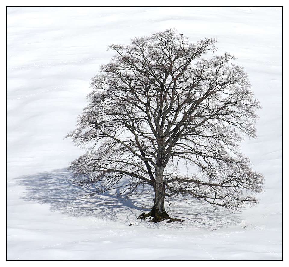 Warten auf den Frühling