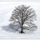 Warten auf den Frühling