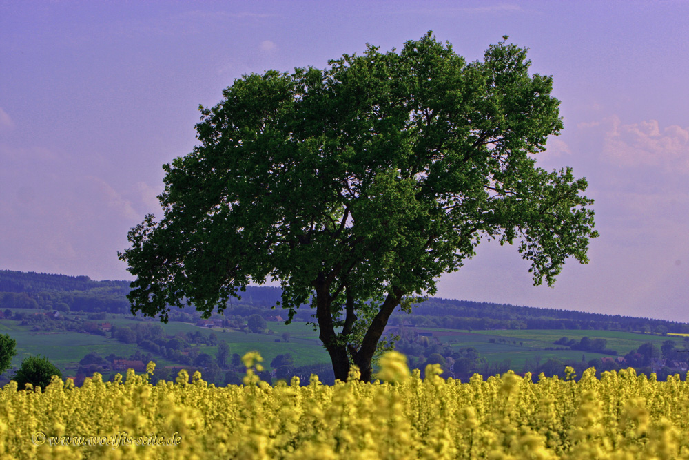 Warten auf den Frühling