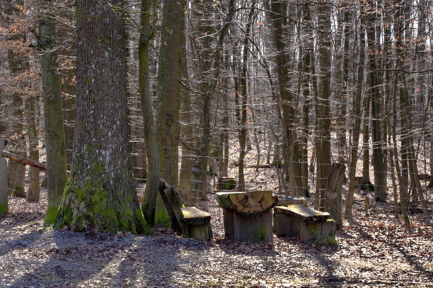 Warten auf den Frühling