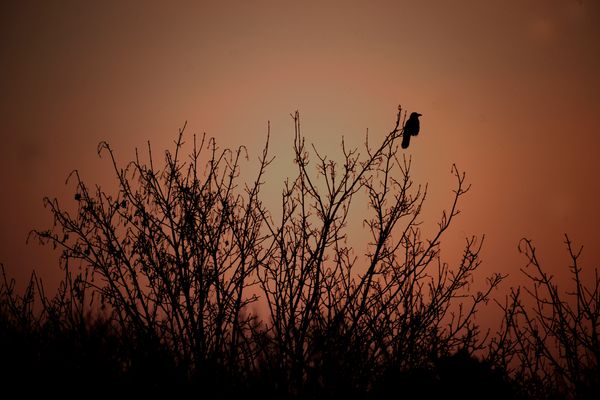 Warten auf den Frühling
