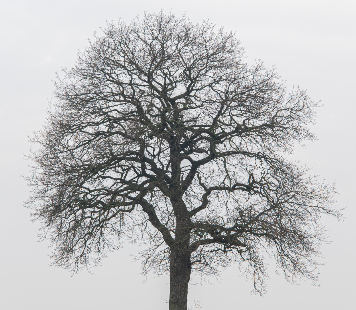 Warten auf den Frühling