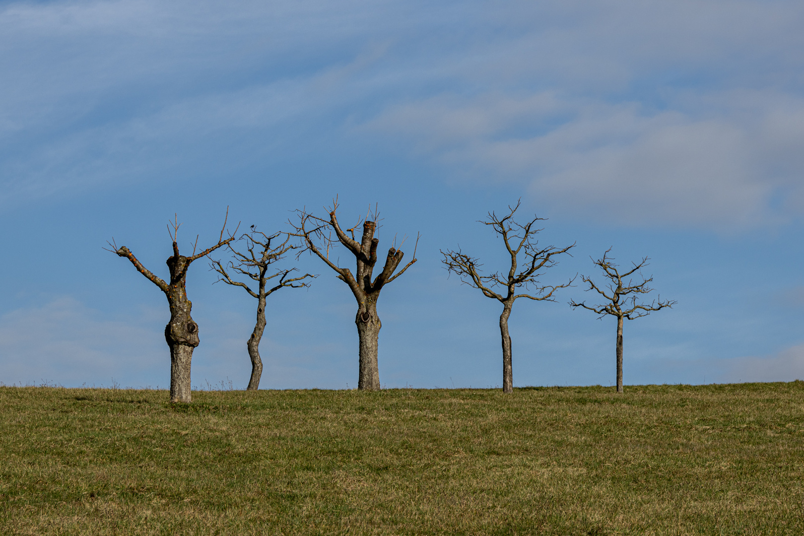 "Warten auf den Frühling"