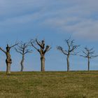 "Warten auf den Frühling"