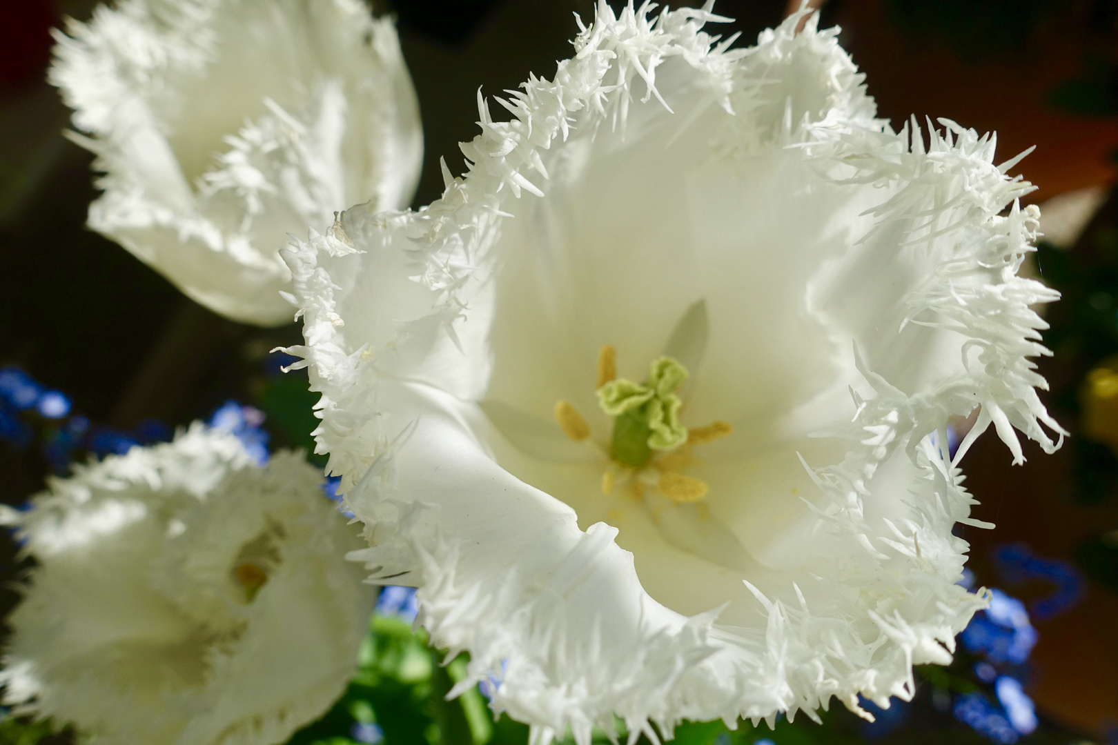 Warten auf den Frühling 2