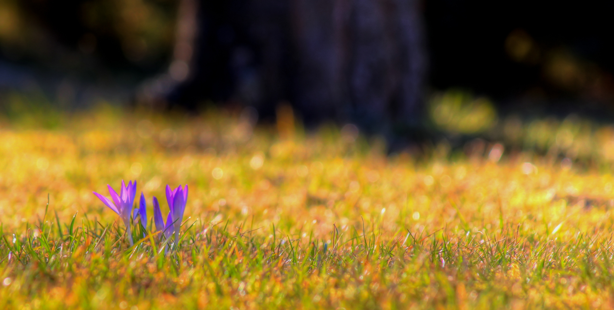 Warten auf den Frühling...