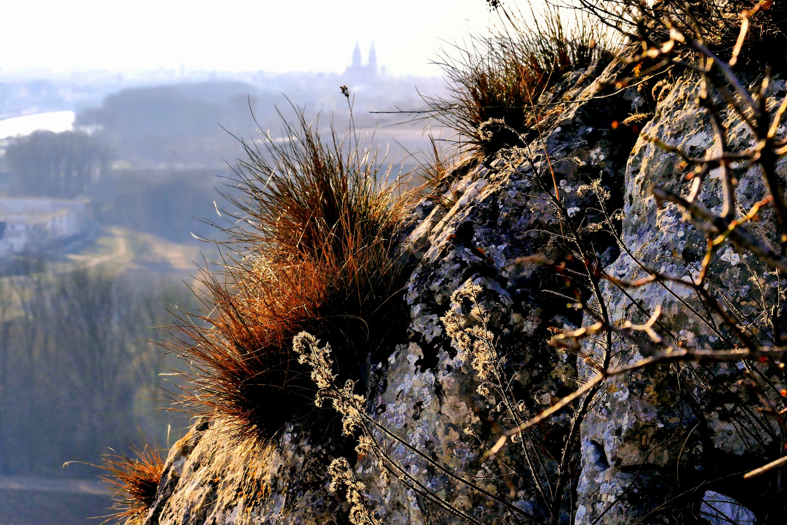 Warten auf den Frühling …