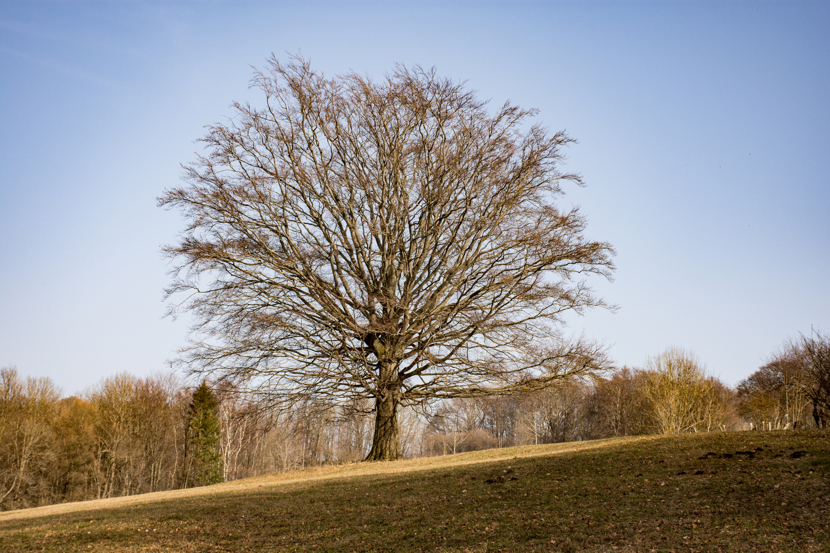 Warten auf den Frühling