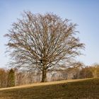 Warten auf den Frühling