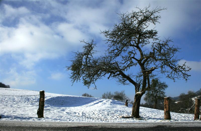 Warten auf den Frühling