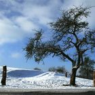 Warten auf den Frühling