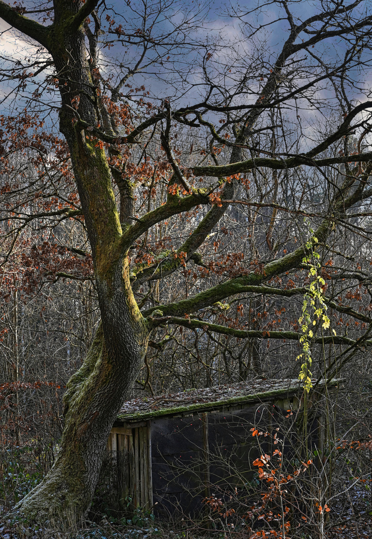 Warten auf den Frühling