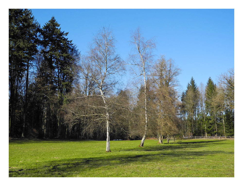 warten auf den Frühling