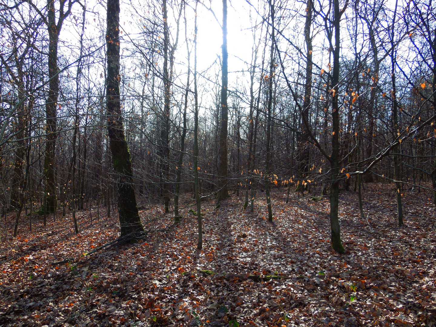 Warten auf den Frühling