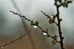 Warten auf den Frühling