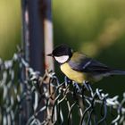 warten auf den frühling