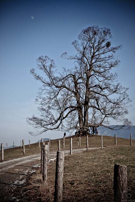 Warten auf den Frühling...