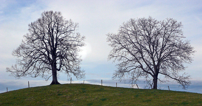 Warten auf den Frühling